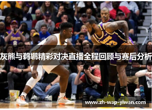 灰熊与鹈鹕精彩对决直播全程回顾与赛后分析